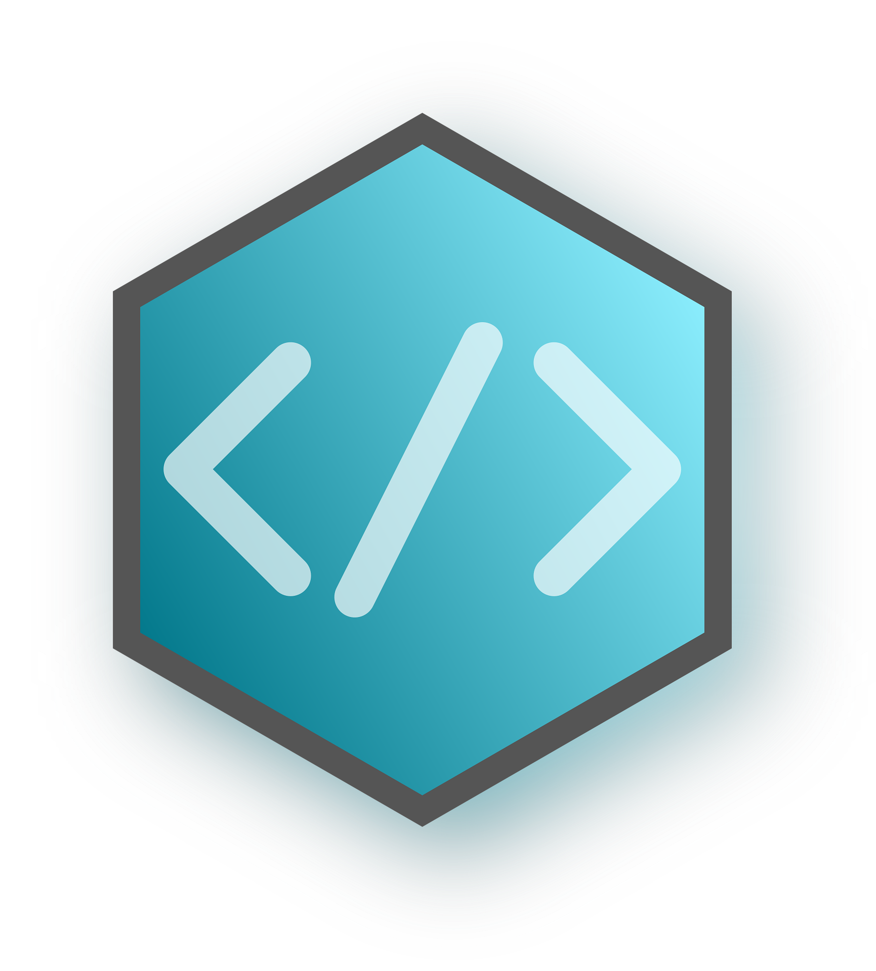 Custom web applications built from scratch
